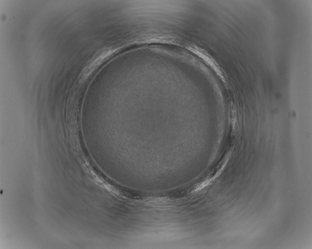 X0000071960577200607071455