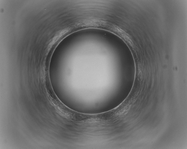 X0000071960578200607071455