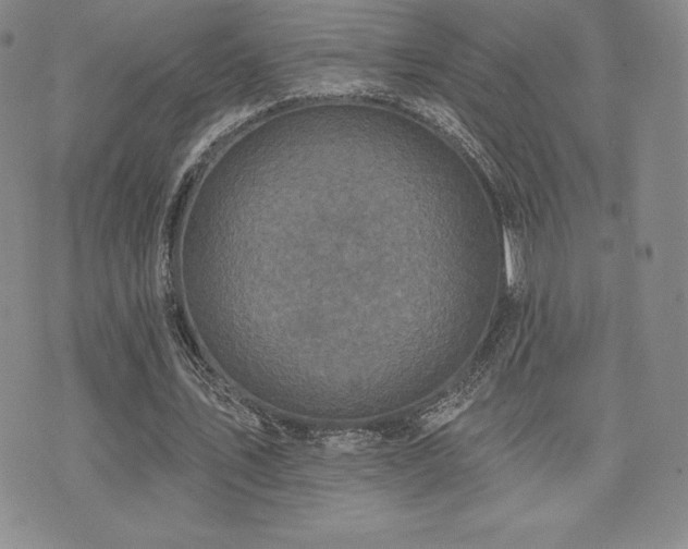 X0000071960579200607071455