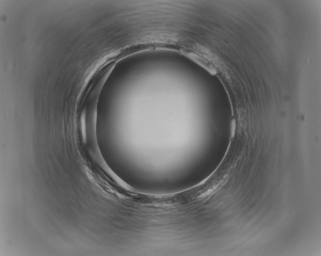 X0000071960580200607071455