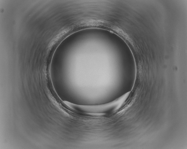 X0000071960581200607071455