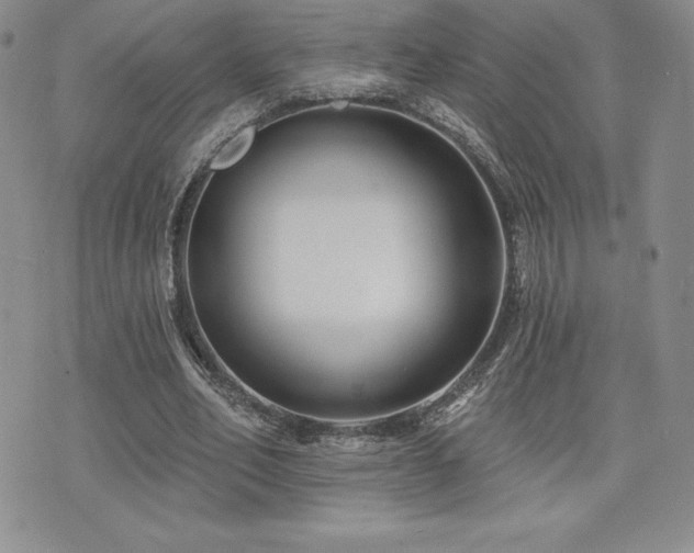 X0000071960582200607071455