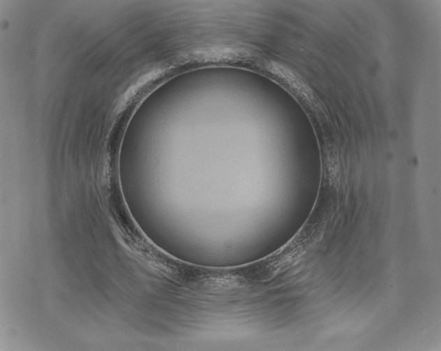 X0000071960583200607071455