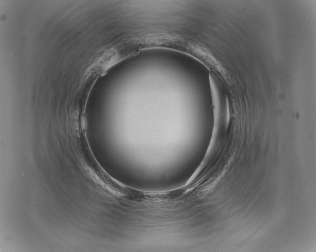 X0000071960585200607071455