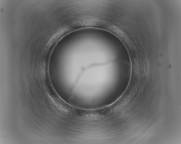 X0000071960586200607071455