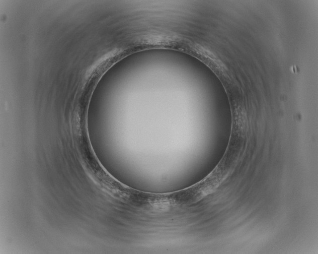 X0000071960587200607071455