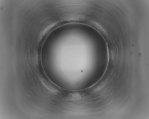 X0000071960588200607071455