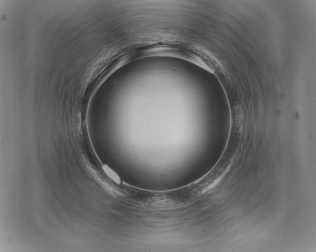 X0000071960589200607071455