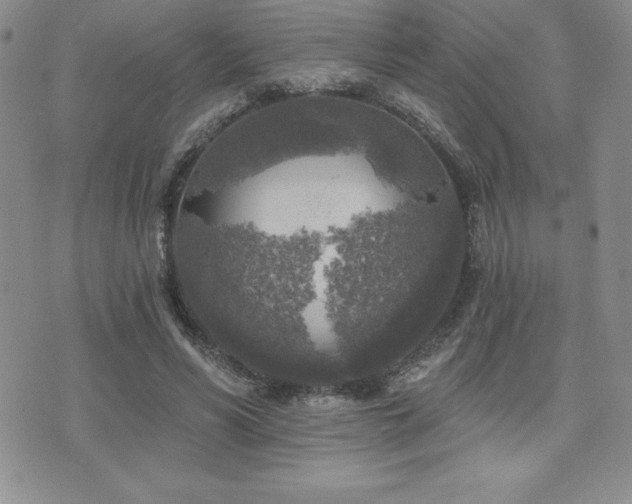 X0000071960590200607071455