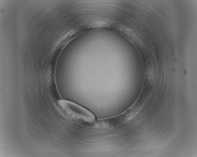 X0000071960591200607071455