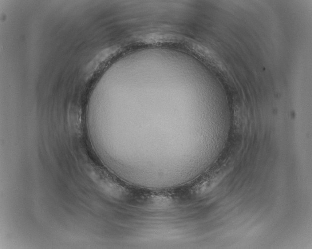 X0000071960592200607071455