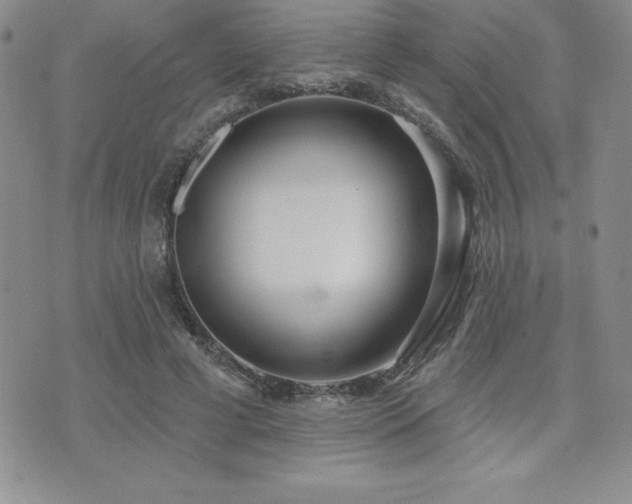 X0000071960593200607071455