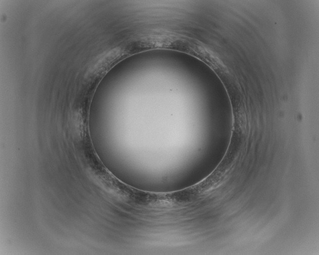 X0000071960594200607071455