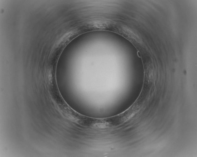 X0000071960595200607071455