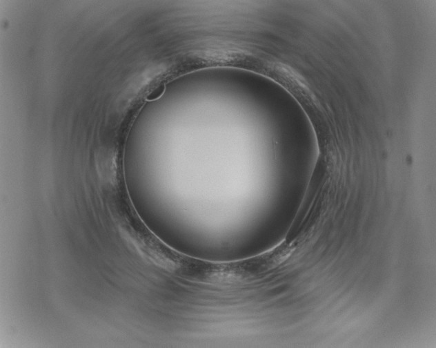 X0000071960596200607071455