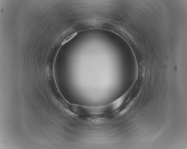 X0000071960597200607071455