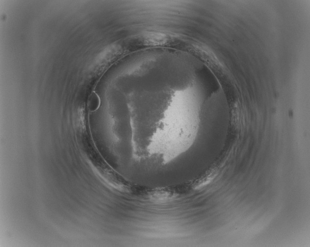 X0000071960598200607071454