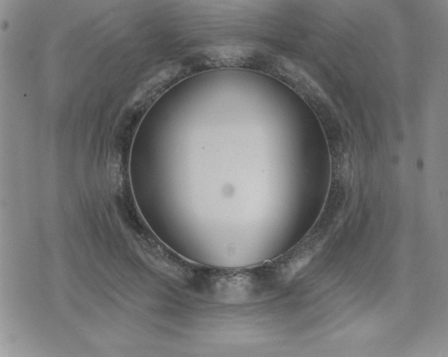 X0000071960599200607071454