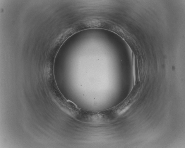 X0000071960600200607071454