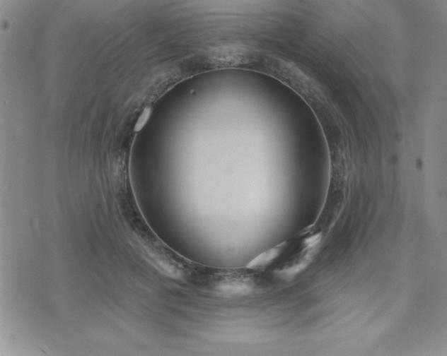 X0000071960601200607071454