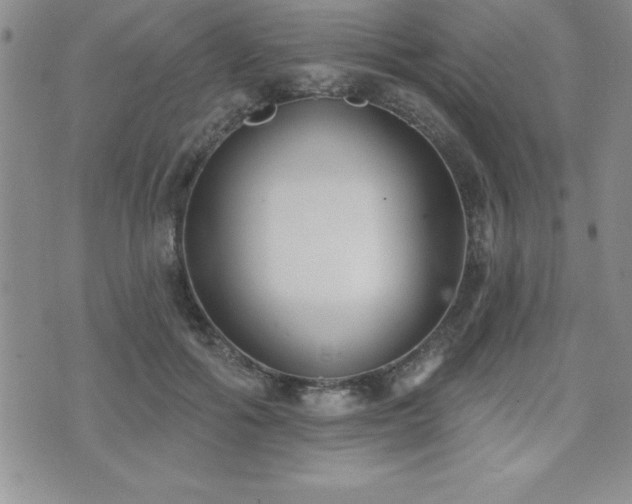 X0000071960602200607071454