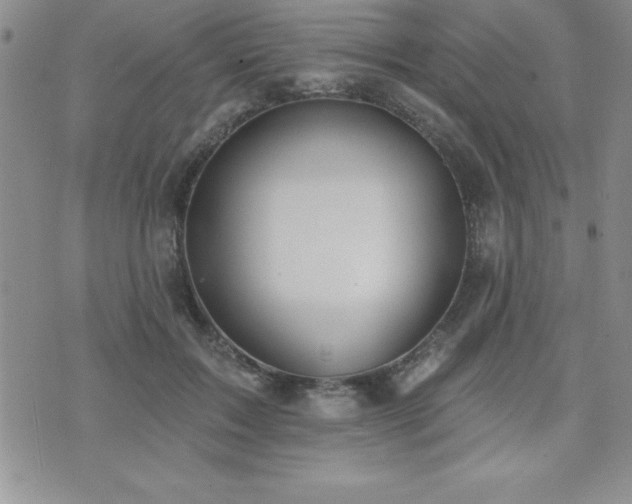 X0000071960603200607071454