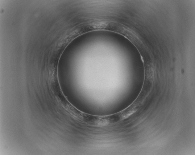 X0000071960604200607071454