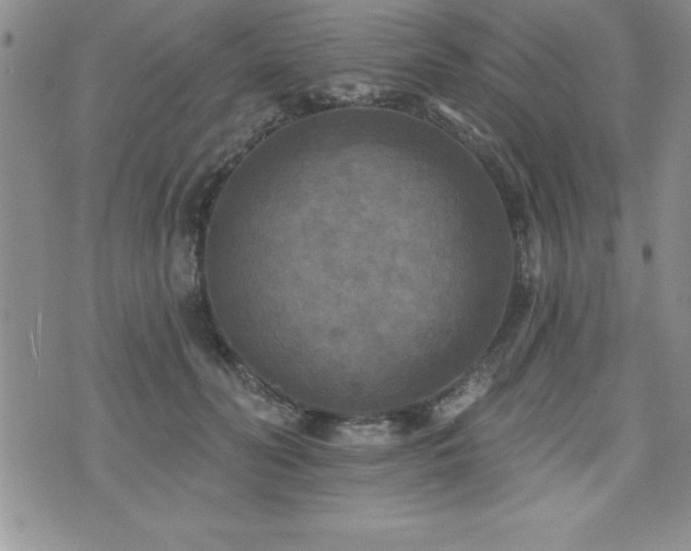 X0000071960606200607071454