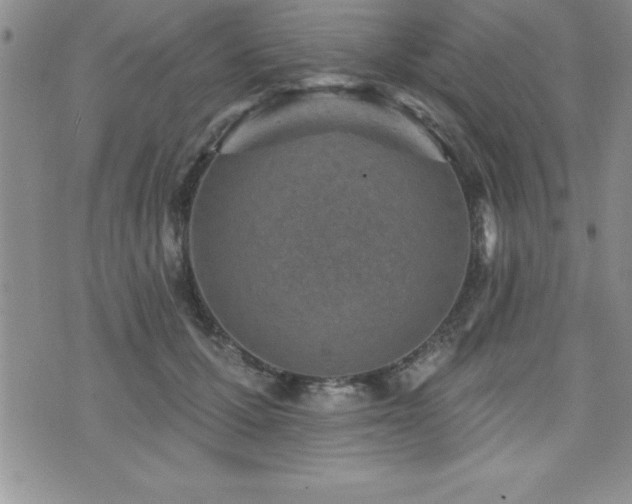 X0000071960607200607071454