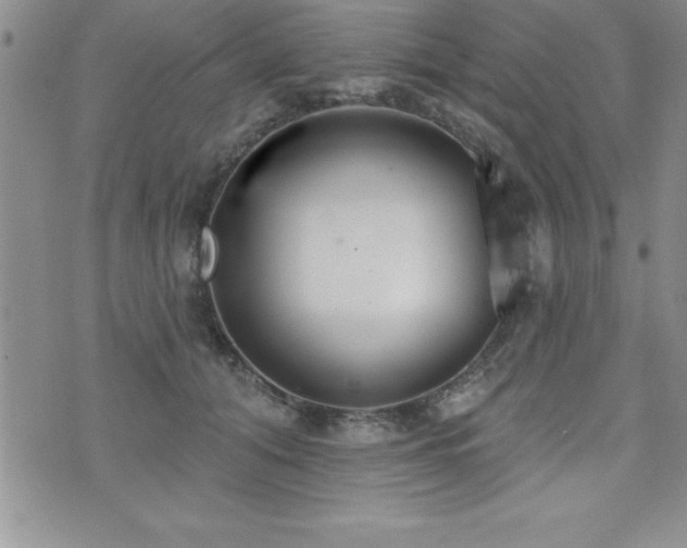 X0000071960608200607071454