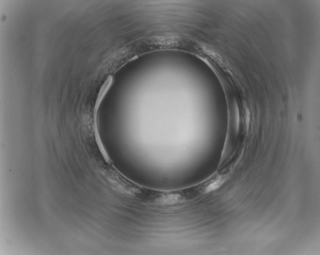 X0000071960609200607071454