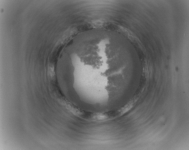 X0000071960610200607071454