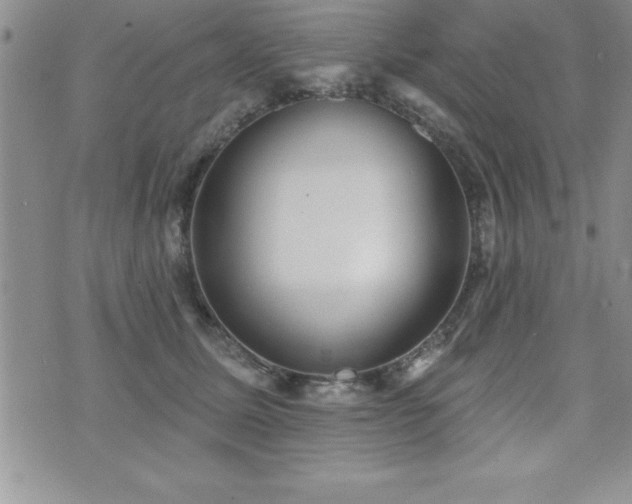 X0000071960611200607071454