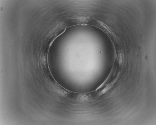 X0000071960613200607071454