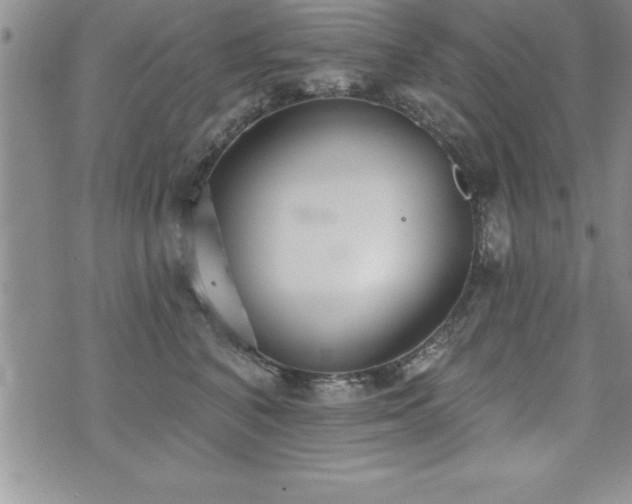 X0000071960616200607071454