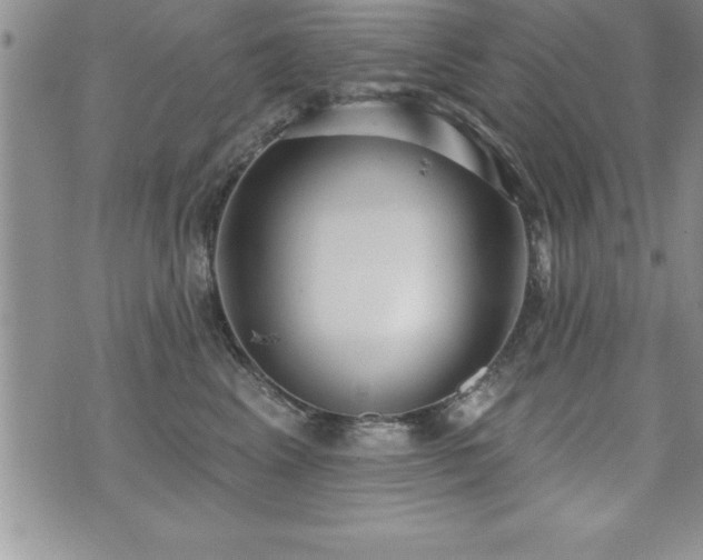 X0000071960617200607071454