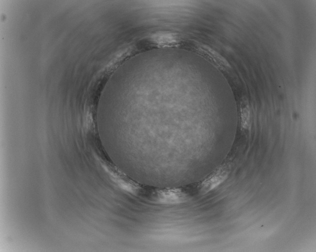 X0000071960618200607071454