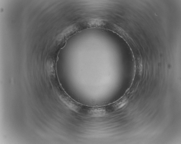 X0000071960619200607071454