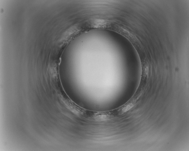 X0000071960620200607071454