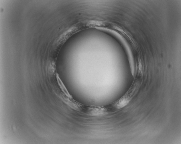 X0000071960621200607071454