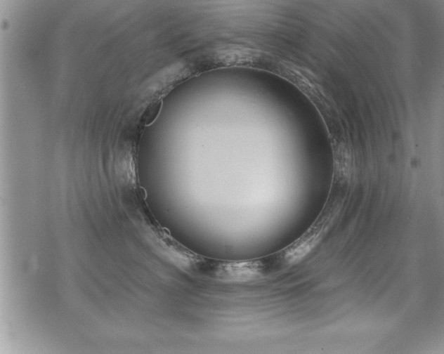 X0000071960622200607071454