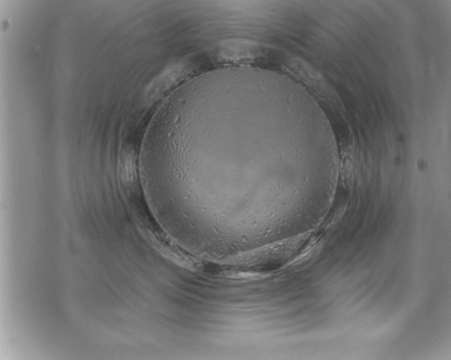 X0000071960623200607071454