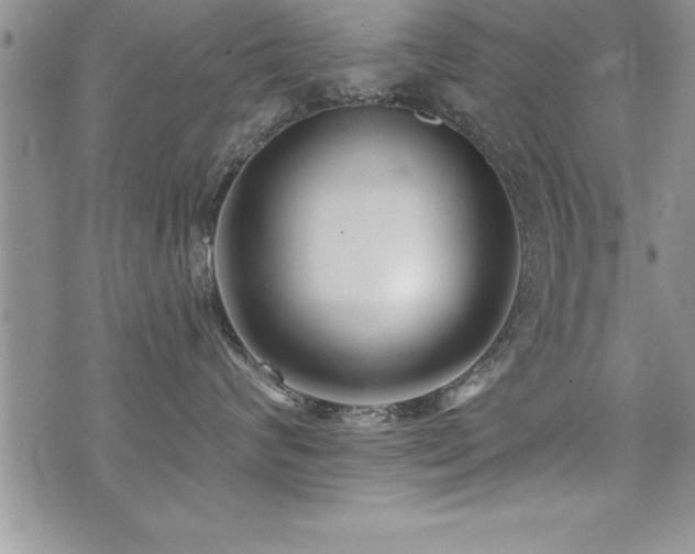 X0000071960624200607071454