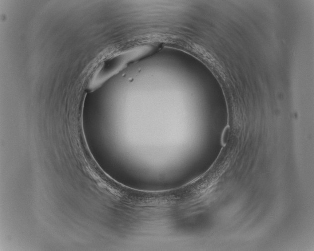 X0000071960625200607071453