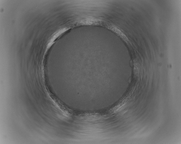 X0000071960626200607071453