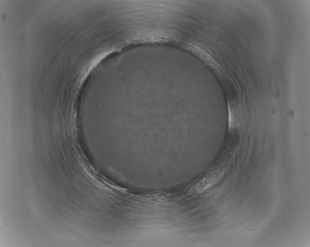 X0000071960627200607071453