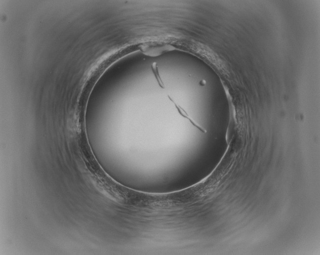 X0000071960628200607071453