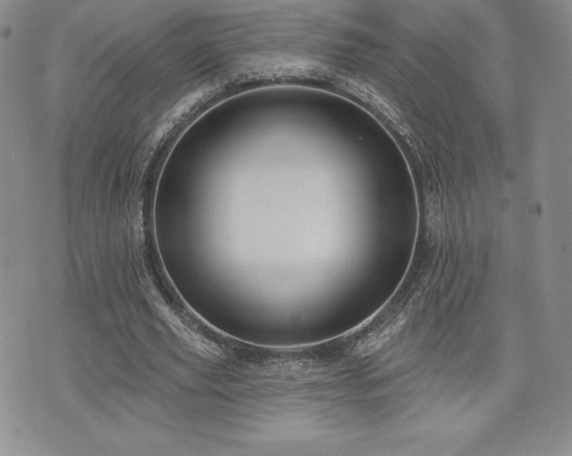 X0000071960629200607071453