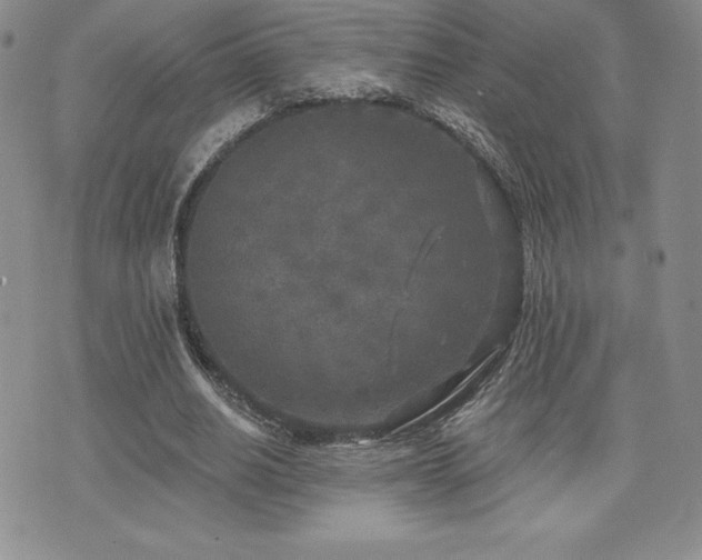 X0000071960630200607071453