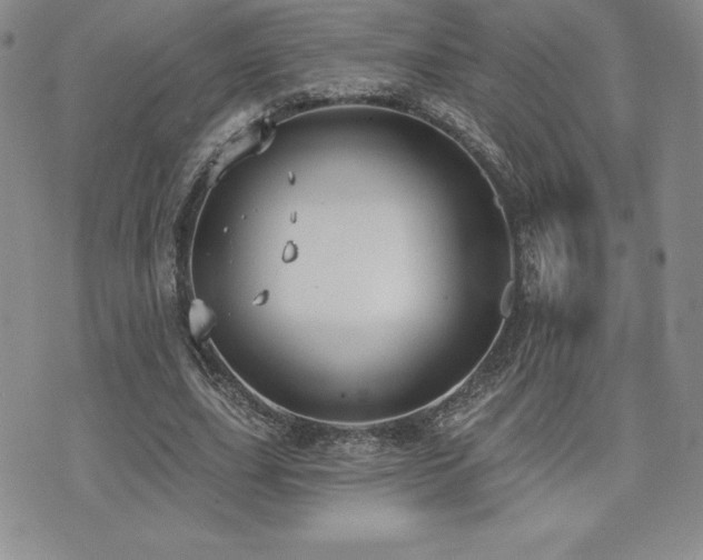 X0000071960631200607071453